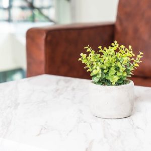 Learn How to Choose a White Marble Benchtop in 5 Min: Quick Guide